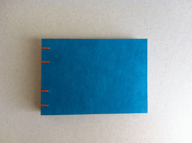 Agenda à remplir - Format paysage - Bleu