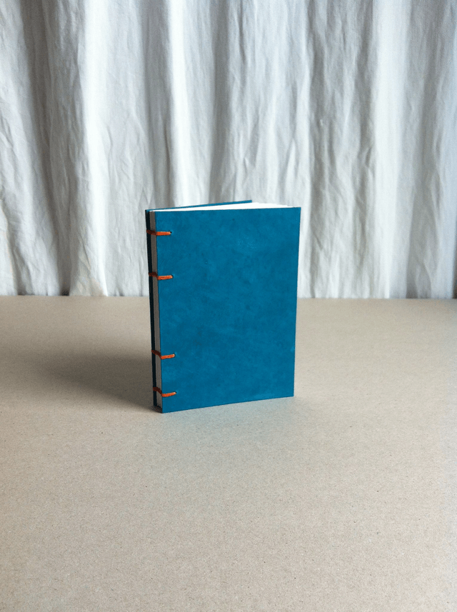 Agenda à remplir - Bleu uni