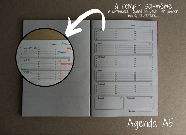 Agenda à remplir - Bleu uni
