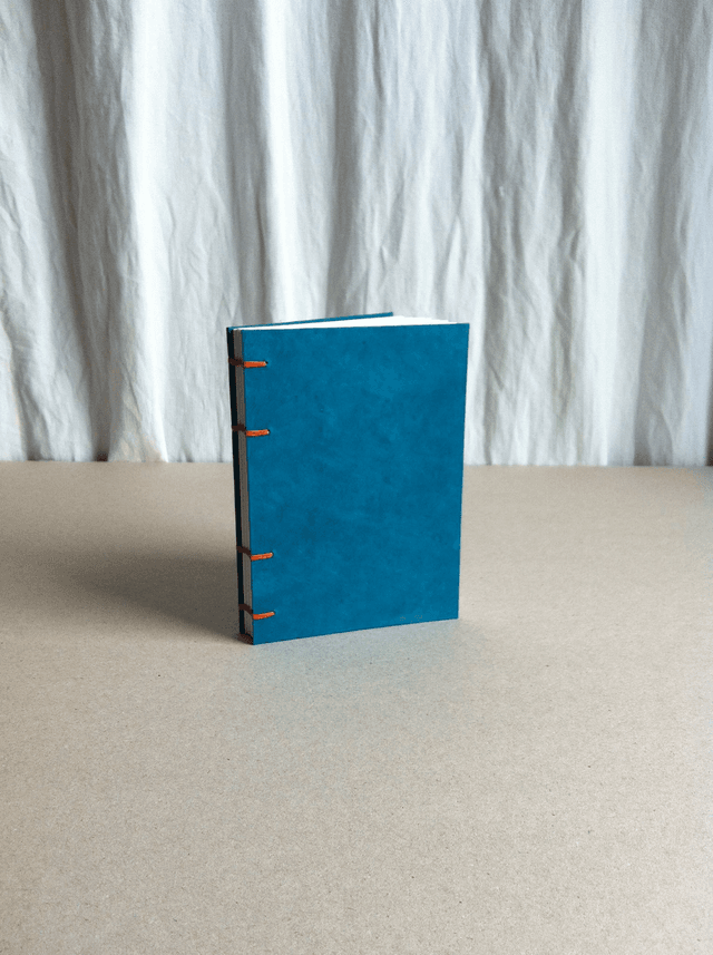 Agenda à remplir - Bleu uni