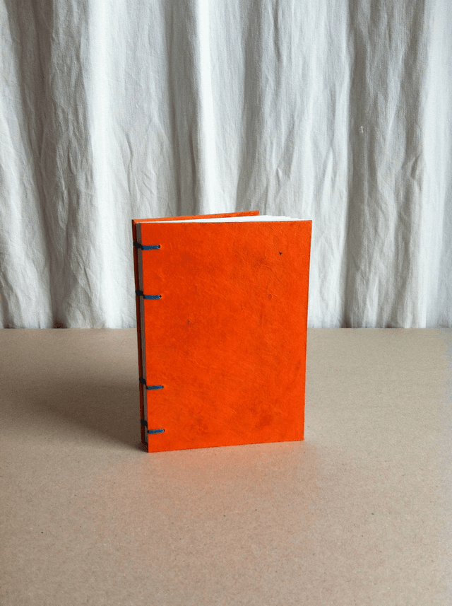 Agenda à remplir - Orange uni